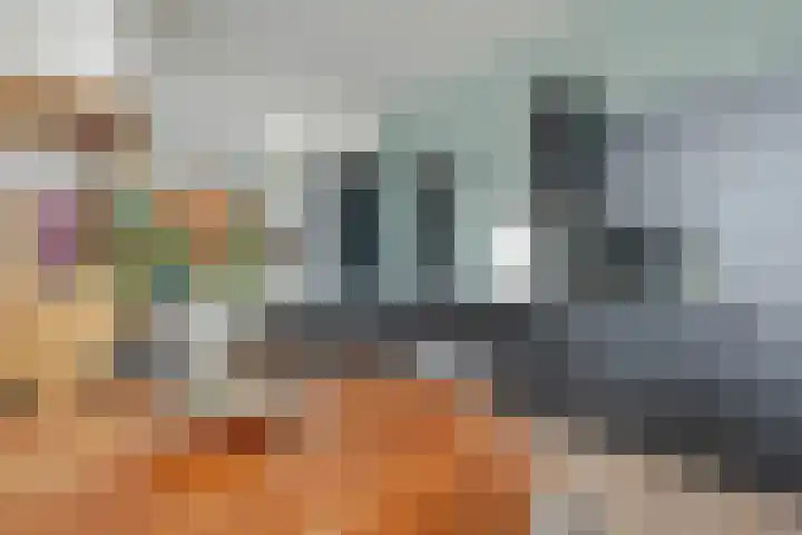 Breeplein 7 A Rotterdam thumbnail 14