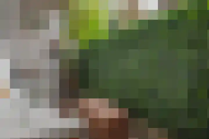 Breeplein 7 A Rotterdam thumbnail 22