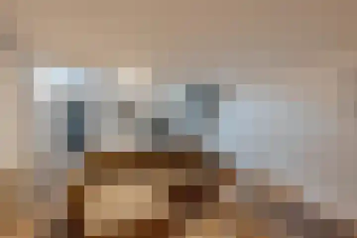 Breeplein 7 A Rotterdam thumbnail 24