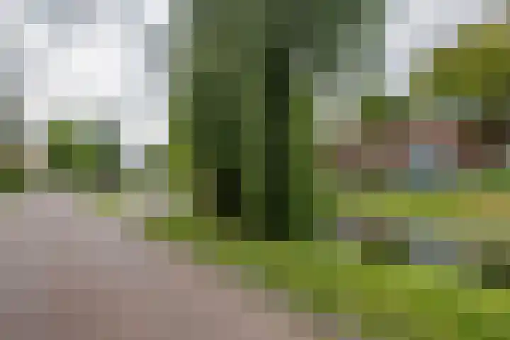 Breeplein 7 A Rotterdam thumbnail 30