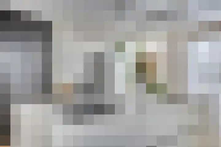 Breerijt 13 Bergeijk thumbnail 12
