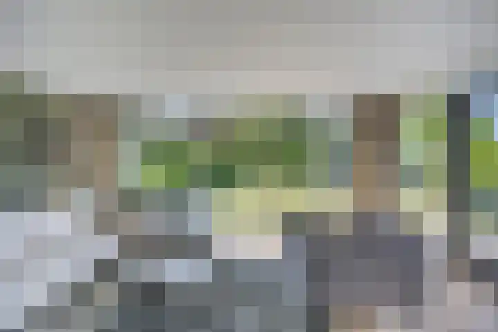 Breerijt 13 Bergeijk thumbnail 14
