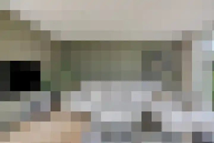 Breerijt 13 Bergeijk thumbnail 16