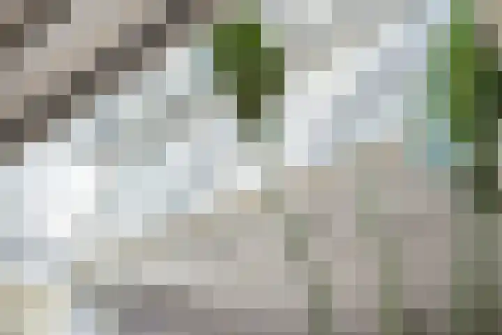 Breerijt 13 Bergeijk thumbnail 17