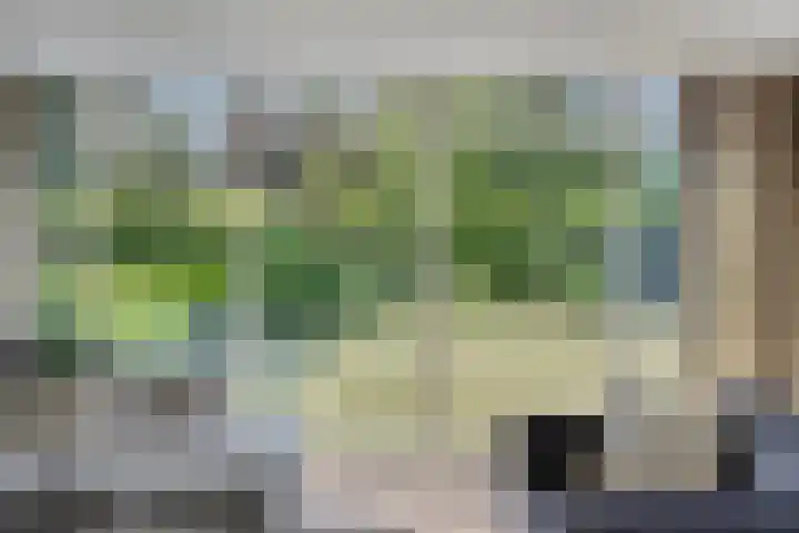 Breerijt 13 Bergeijk thumbnail 18