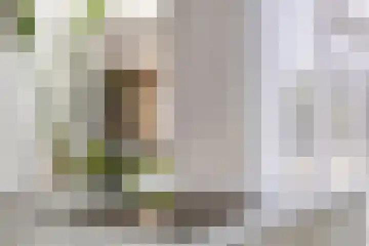 Breerijt 13 Bergeijk thumbnail 21