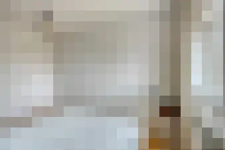 Breerijt 13 Bergeijk thumbnail 25