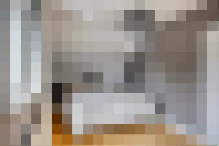 Breerijt 13 Bergeijk thumbnail 26