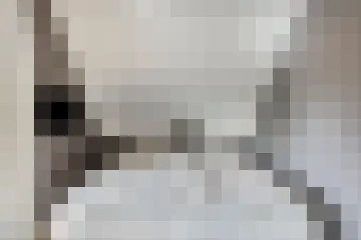 Breerijt 13 Bergeijk thumbnail 27