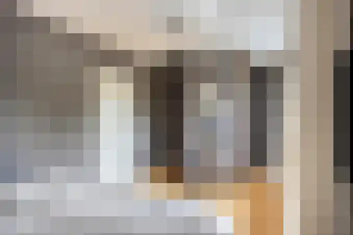 Breerijt 13 Bergeijk thumbnail 28