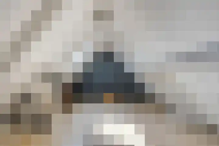 Breerijt 13 Bergeijk thumbnail 32