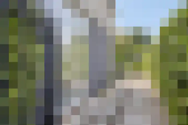 Breerijt 13 Bergeijk thumbnail 33