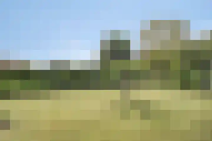 Breerijt 13 Bergeijk thumbnail 34