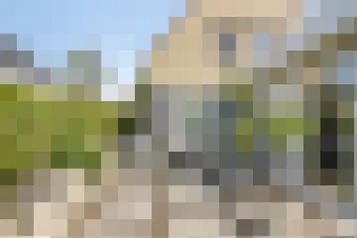 Breerijt 13 Bergeijk thumbnail 38
