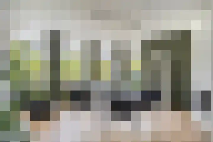 Breerijt 13 Bergeijk thumbnail 4