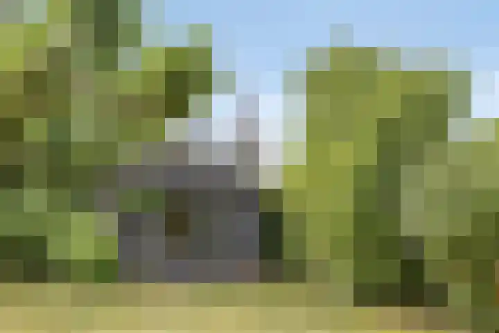 Breerijt 13 Bergeijk thumbnail 41