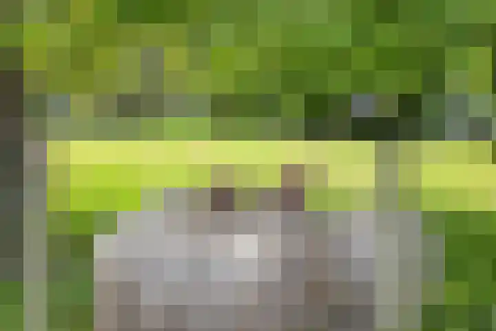 Breerijt 13 Bergeijk thumbnail 42