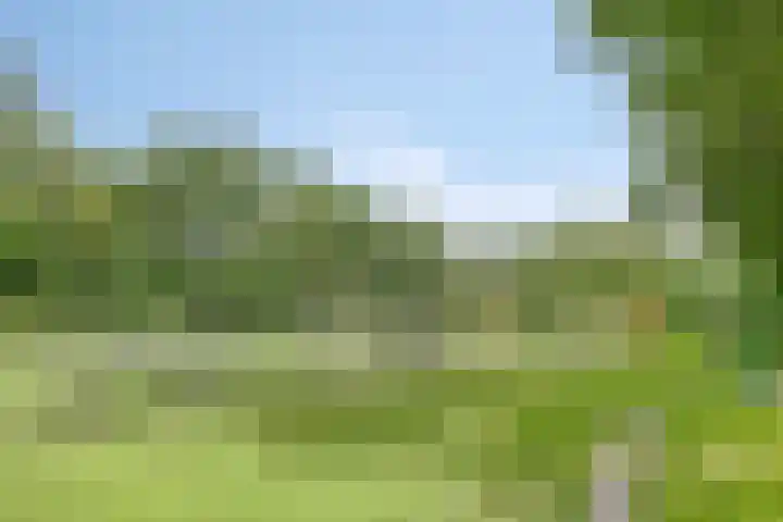 Breerijt 13 Bergeijk thumbnail 45
