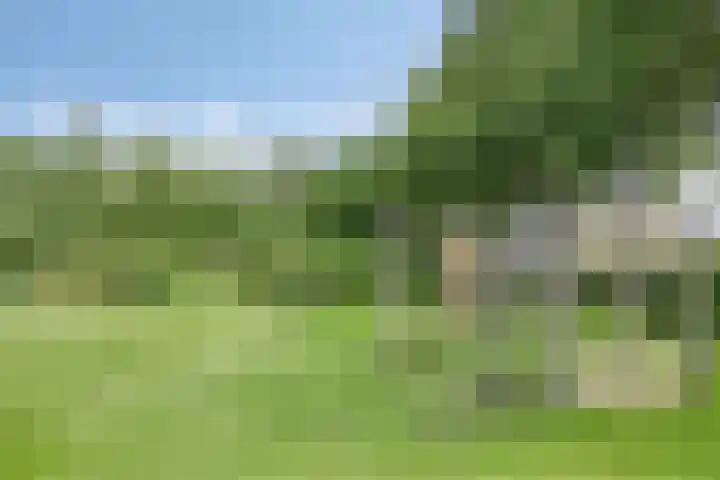 Breerijt 13 Bergeijk thumbnail 46