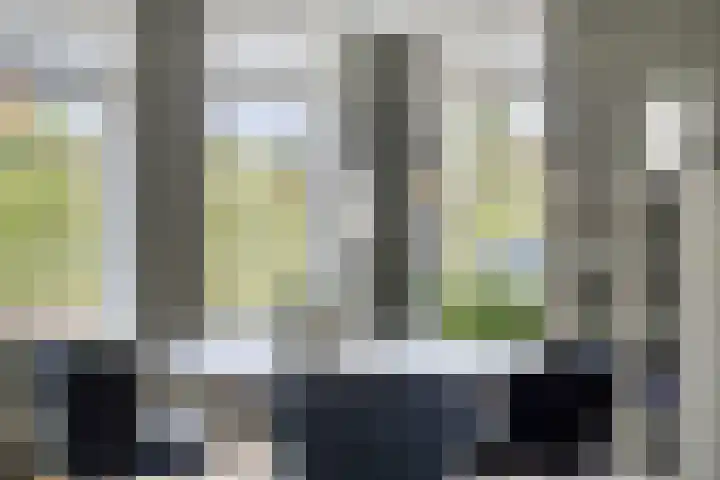 Breerijt 13 Bergeijk thumbnail 5