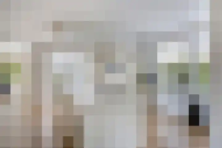 Breerijt 13 Bergeijk thumbnail 7