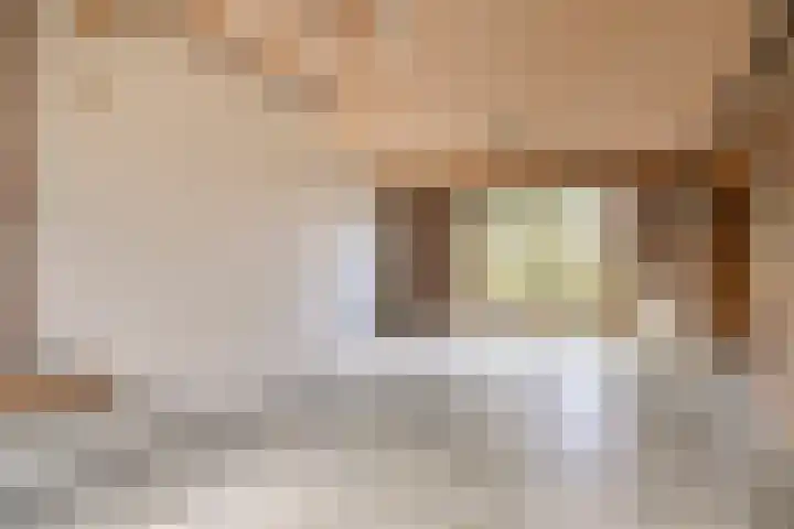 Breerijt 23 Bergeijk thumbnail 10