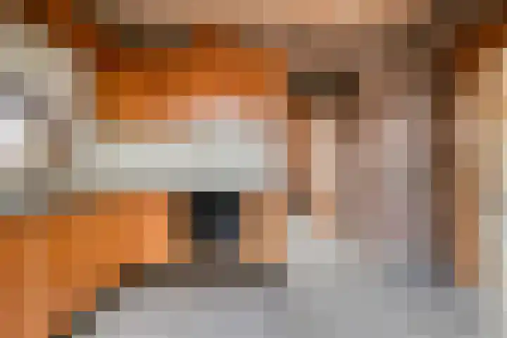 Breerijt 23 Bergeijk thumbnail 14