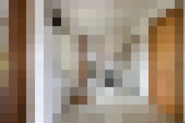 Breerijt 23 Bergeijk thumbnail 15