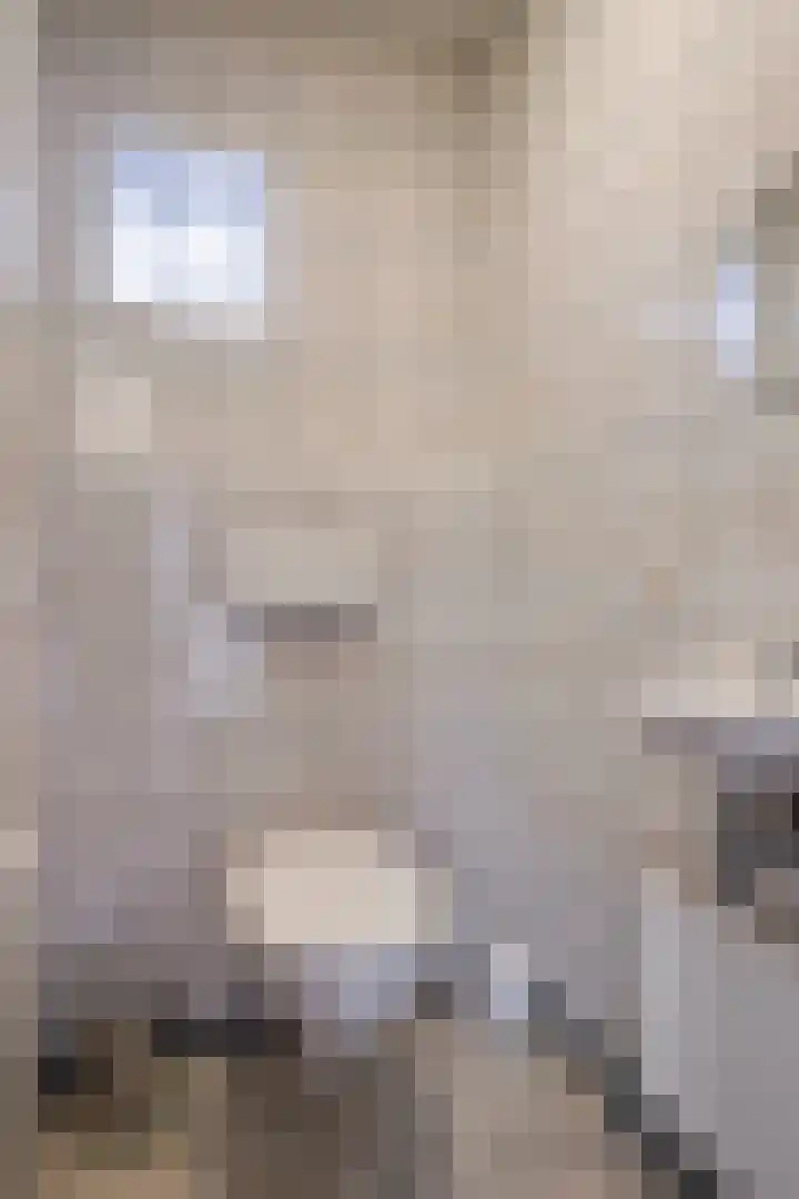 Breerijt 23 Bergeijk thumbnail 16