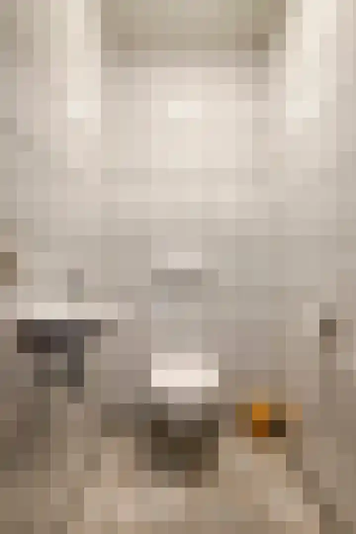 Breerijt 23 Bergeijk thumbnail 22