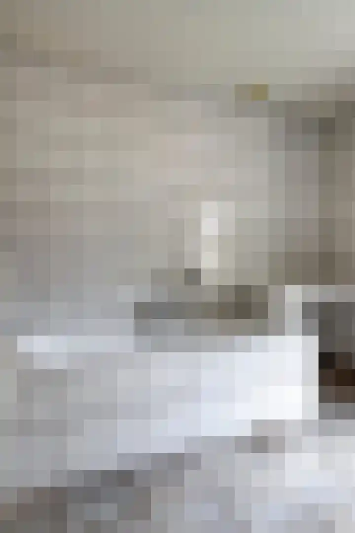 Breerijt 23 Bergeijk thumbnail 30