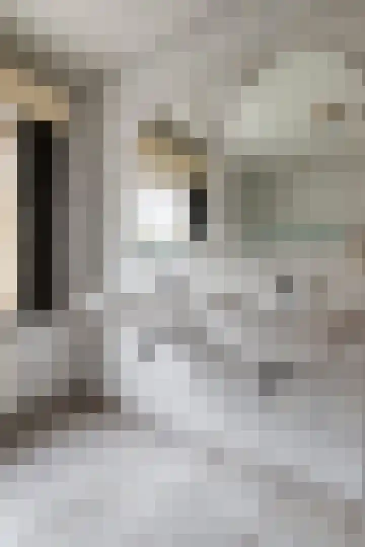 Breerijt 23 Bergeijk thumbnail 31