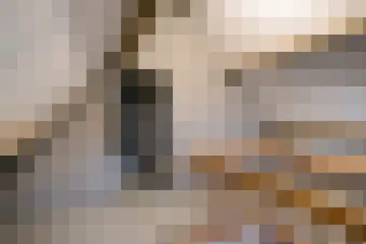 Breerijt 23 Bergeijk thumbnail 32