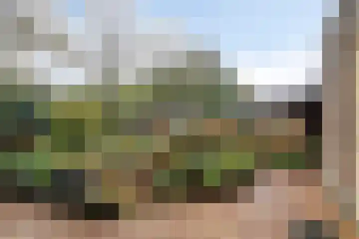 Breerijt 23 Bergeijk thumbnail 33