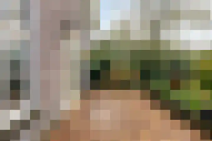 Breerijt 23 Bergeijk thumbnail 34