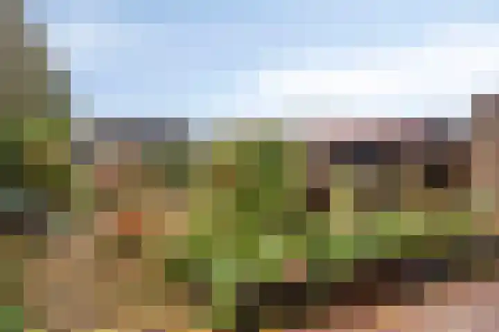 Breerijt 23 Bergeijk thumbnail 35