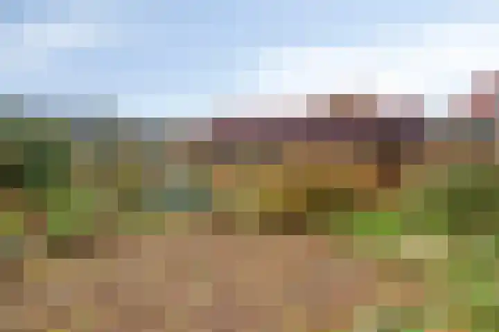 Breerijt 23 Bergeijk thumbnail 36