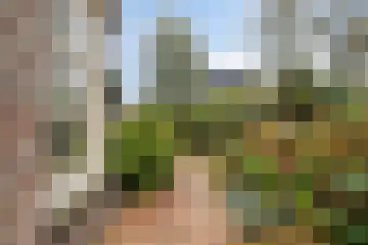 Breerijt 23 Bergeijk thumbnail 37