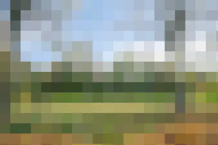 Breerijt 23 Bergeijk thumbnail 4