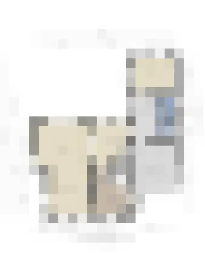 Breerijt 23 Bergeijk thumbnail 40