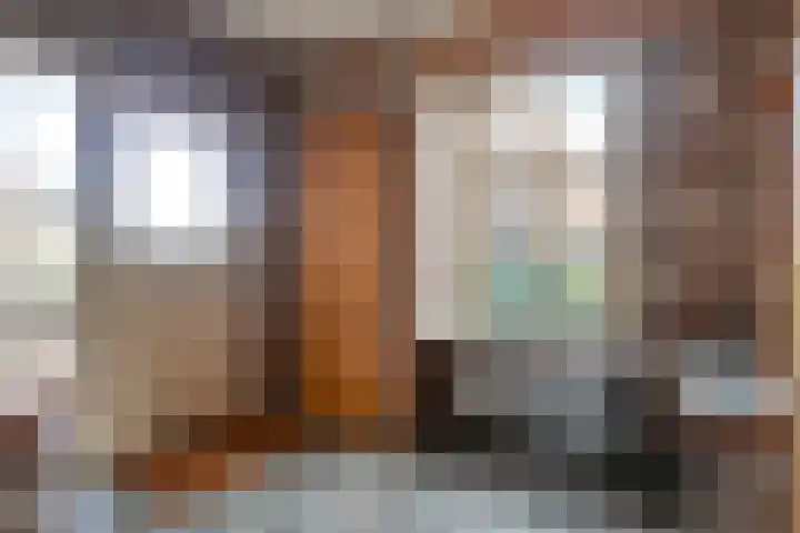 Breerijt 23 Bergeijk thumbnail 5