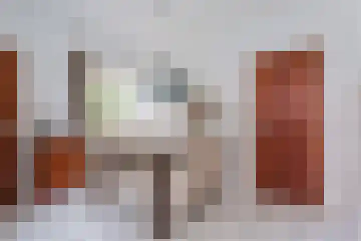 Breerijt 40 Bergeijk thumbnail 11