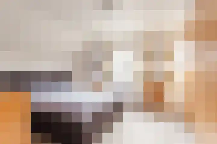 Breerijt 40 Bergeijk thumbnail 14