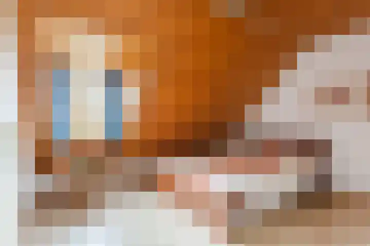 Breerijt 40 Bergeijk thumbnail 16