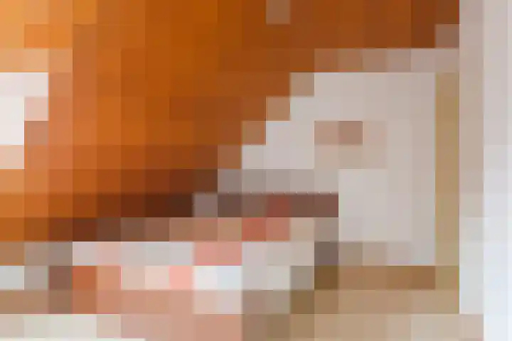 Breerijt 40 Bergeijk thumbnail 17