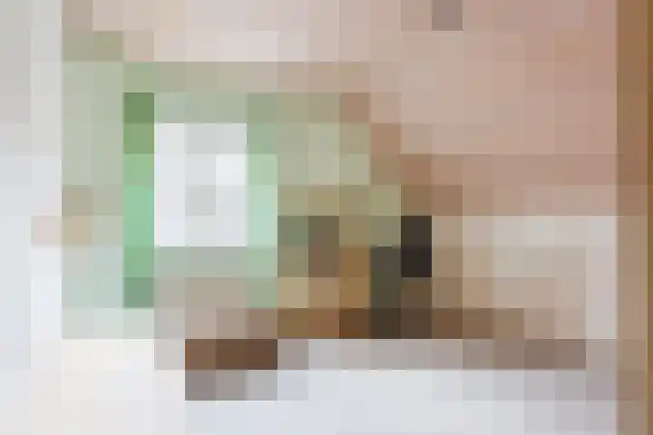 Breerijt 40 Bergeijk thumbnail 18
