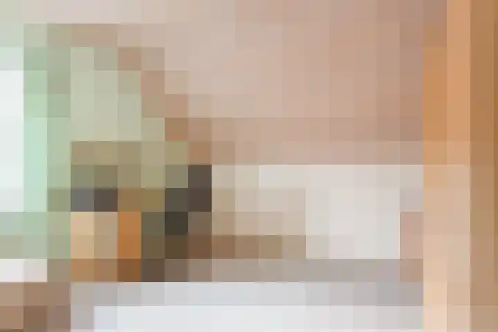 Breerijt 40 Bergeijk thumbnail 19