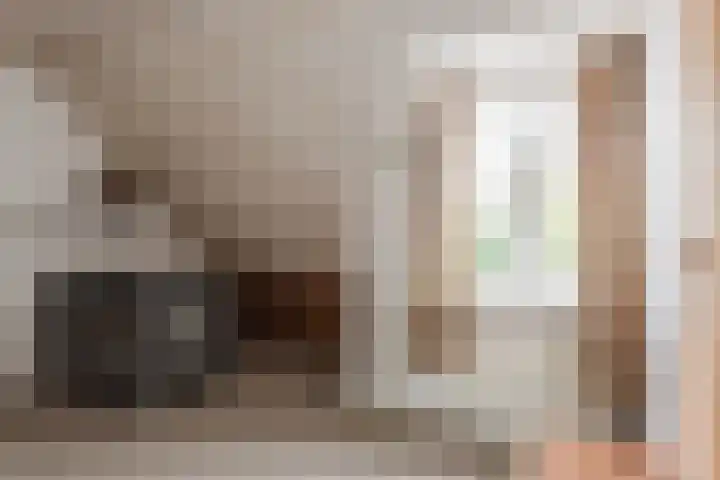 Breerijt 40 Bergeijk thumbnail 20