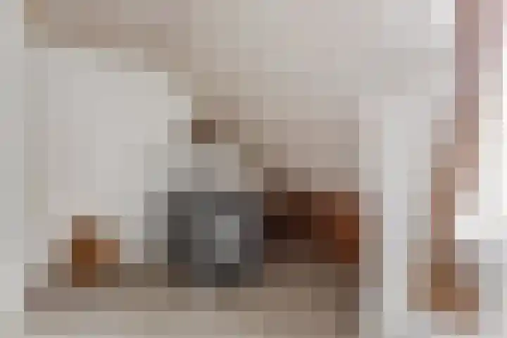 Breerijt 40 Bergeijk thumbnail 21