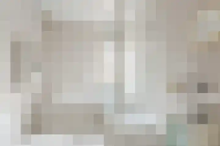 Breerijt 40 Bergeijk thumbnail 22